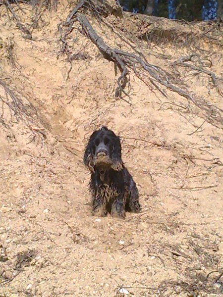 7 Dovádeni u pískovny-duben 2012.jpg